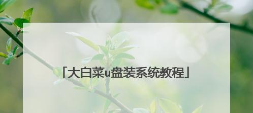 大白菜超级u盘系统教程（利用大白菜超级u盘快速安装系统，轻松解决系统安装繁琐的问题）