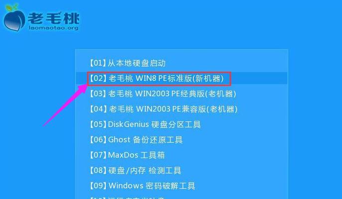 使用PE盘系统进行安装的详细教程（掌握PE盘系统的使用方法，轻松进行系统安装）