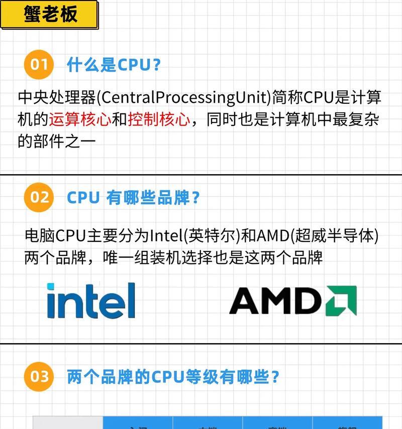 名龙堂5555（探寻名龙堂5555的医学奥秘与养生智慧）