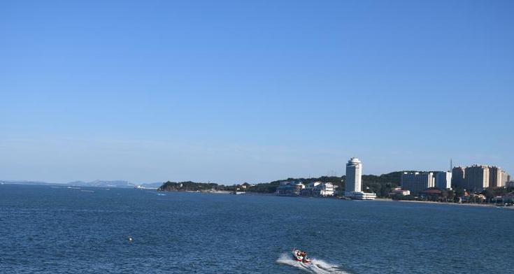 探索日本短期种植的现状及前景（以日本短期种植为例，探讨其种植模式、技术与市场前景）