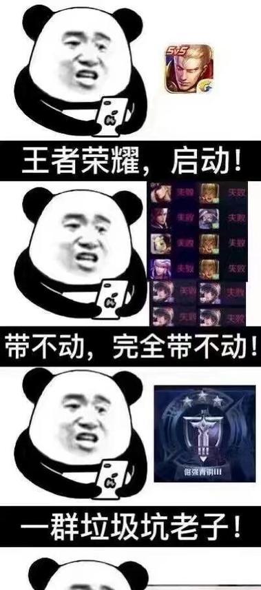 王者荣耀删除后的影响及应对策略（分析王者荣耀被删除的可能性和解决方案，保障玩家利益与游戏发展）