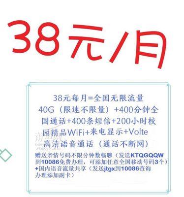 一年的迁徙之旅（探寻移动带来的变化与收获）