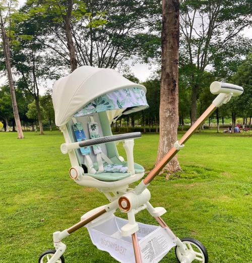 全城遛娃，孩子快乐成长的最佳选择（营造良好的儿童成长环境，全城家庭共同参与）
