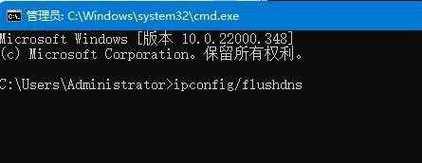 电脑分配的DNS错误解析与排查方法