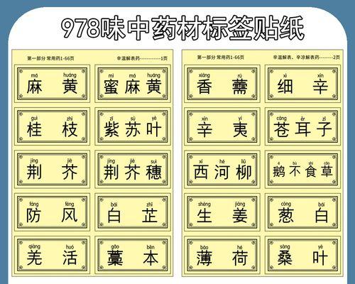 药店标签电脑打印教程（轻松掌握药店标签电脑打印技巧）