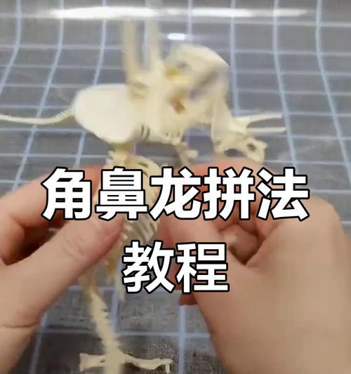 电脑拼装恐龙模型教程（轻松学会用电脑拼装自己的恐龙模型，亲手创造史前生物奇迹）