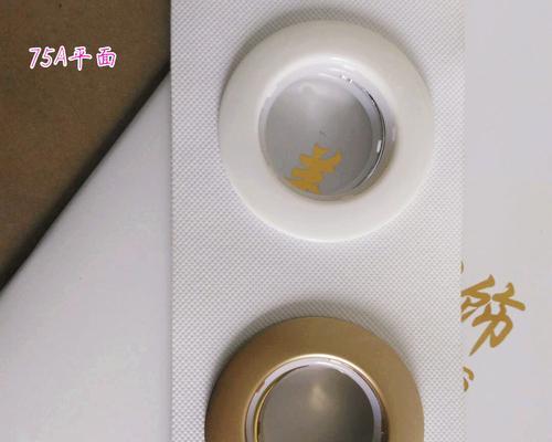 如何在电脑上安装罗马环教程（逐步指南让您轻松安装罗马环）