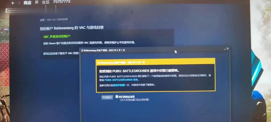 电脑版绝地求生显示错误的解决方法（遇到绝地求生显示错误？来看看这些解决办法！）