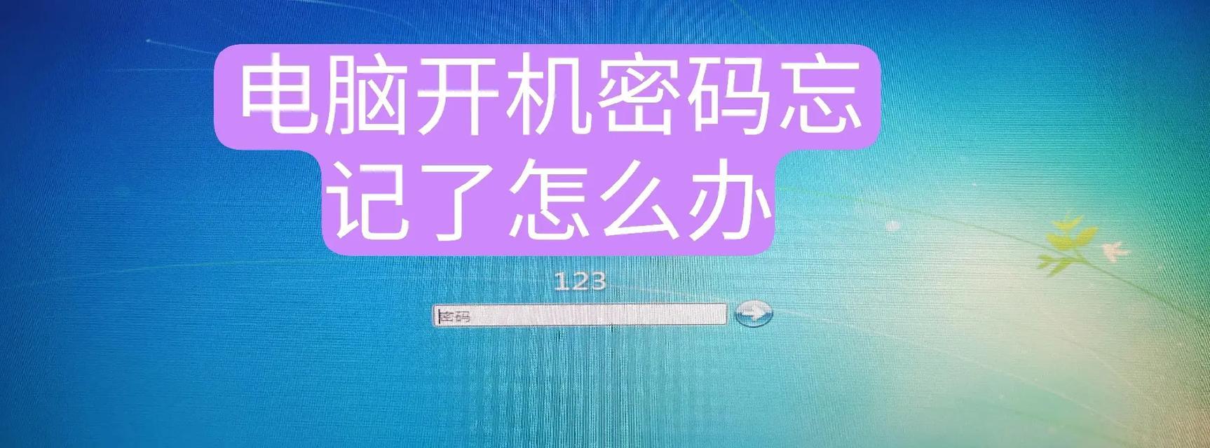 电脑密码设置错误的原因及解决方法（密码保护安全隐患与应对策略）