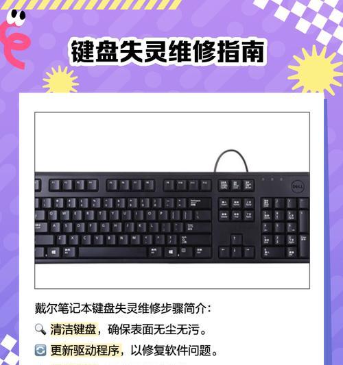 戴尔电脑新手使用教程（快速上手戴尔电脑，轻松迈向数码时代）