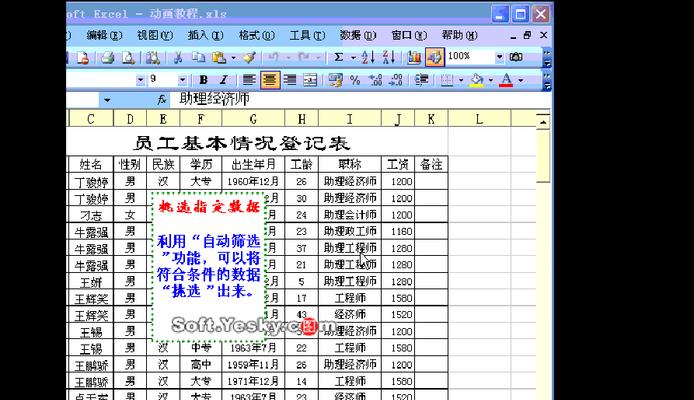 苹果电脑Excel教程（学习苹果电脑上的Excel功能，提升工作效率与数据分析能力）
