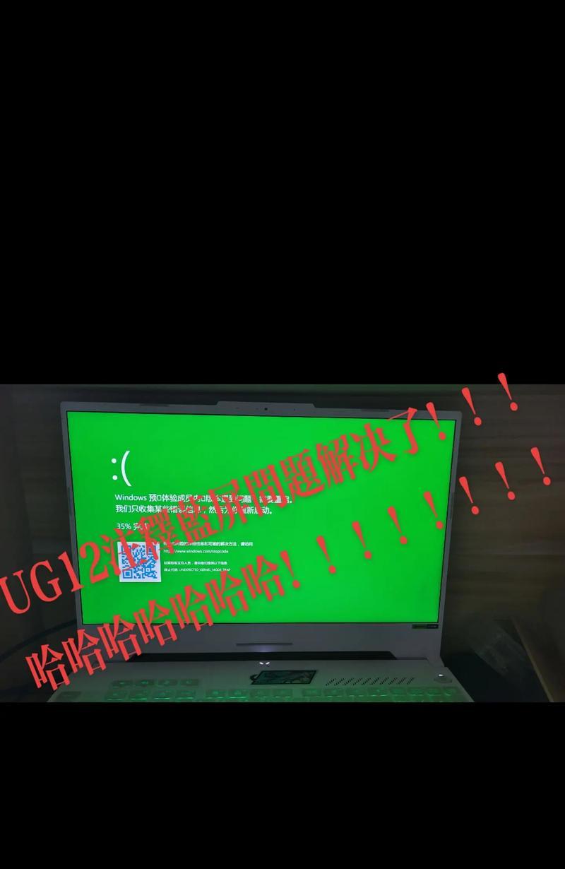 电脑蓝屏错误代码116解析（解决电脑蓝屏问题，避免代码116带来的困扰）