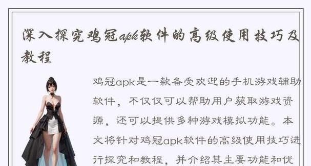 电脑上如何使用APK文件（教你如何在电脑上安装和运行APK应用）