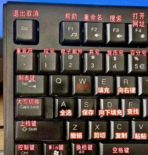 电脑键盘操作教程（掌握电脑键盘操作的关键方法，助你快速提升工作效率）