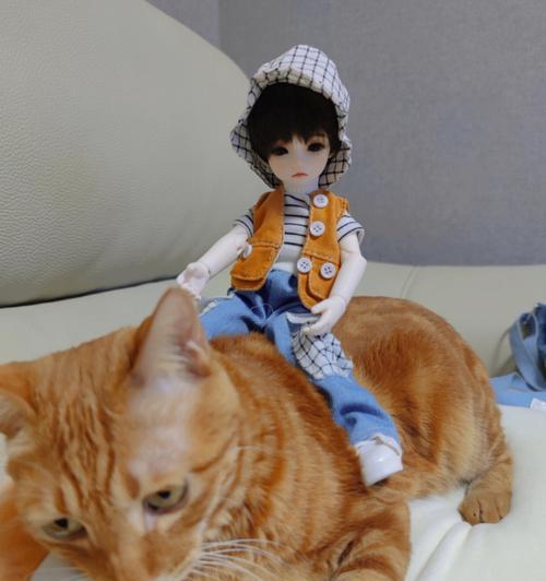 让你的小孩骑猫咪的电脑教程（让孩子与猫咪互动，通过电脑学习与娱乐一体化）